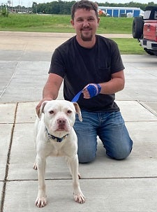 Man with white dog