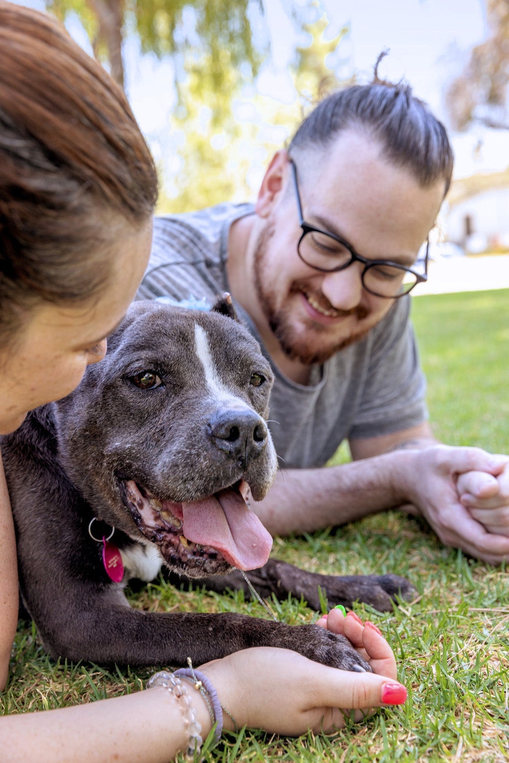 man and woman laying on the grass with a senior dog