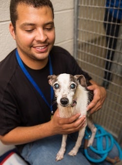 Man sitting on floor holding small white senior dog