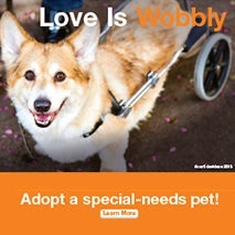 Love is special