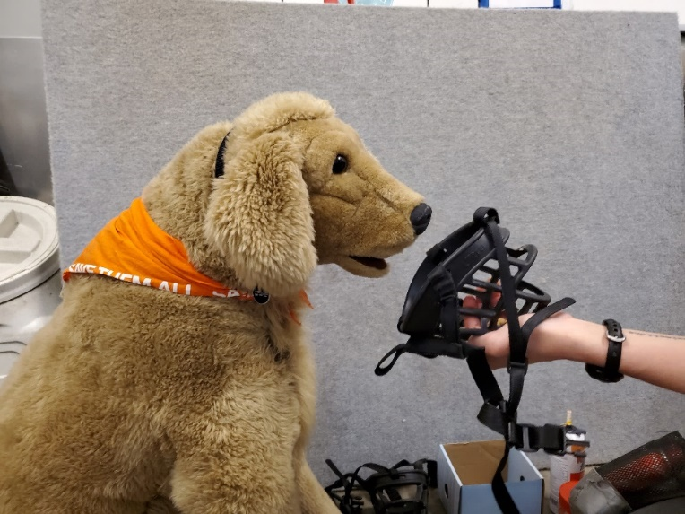 Muzzle with treat inside being offered to a plush dog for training