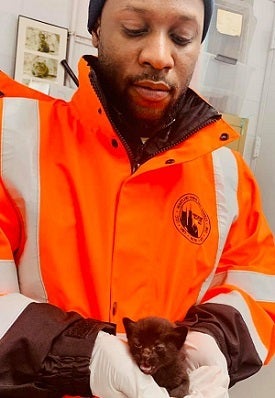 Man in stocking cap and orange jacket holding kitten