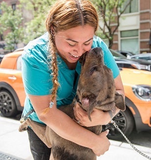 Woman hugging dog 
