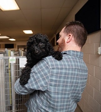Man in plaid shirt carrying black dog