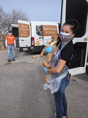 Tan puppy held by person with mask on 
