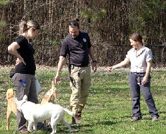Tierney and ACOs