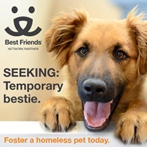Foster