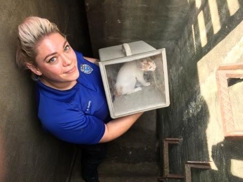 A field services officer in Memphis helping a kitten