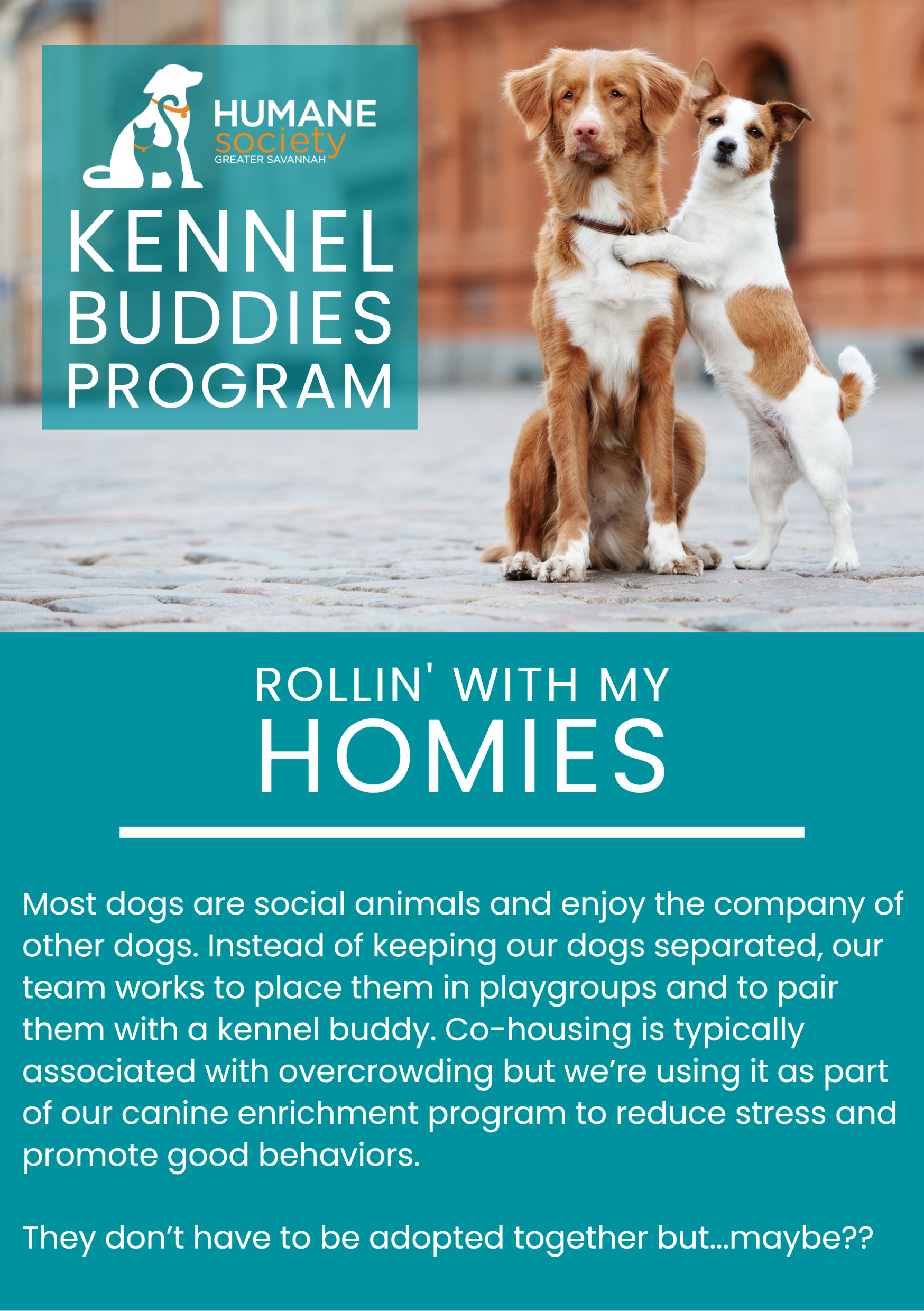 HS of Greater Savannah Kennel Buddies Program Flyer
