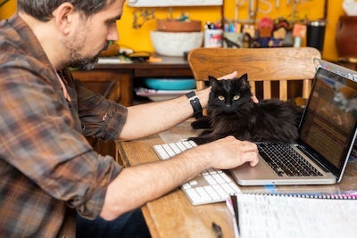 a man sitting at a desk on a laptop and petting a black cat