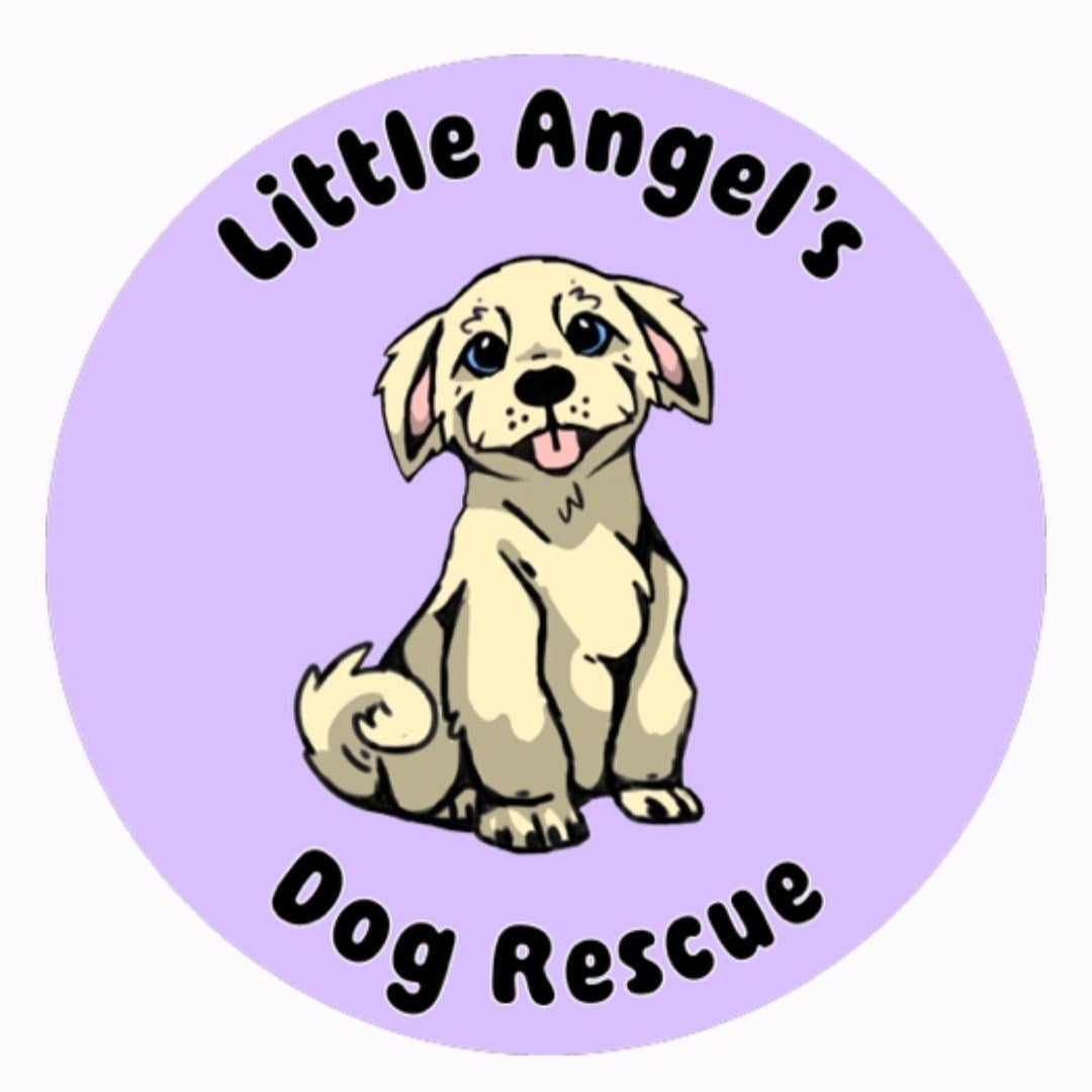 Little Angels Dog Rescue, Saint David, Arizona