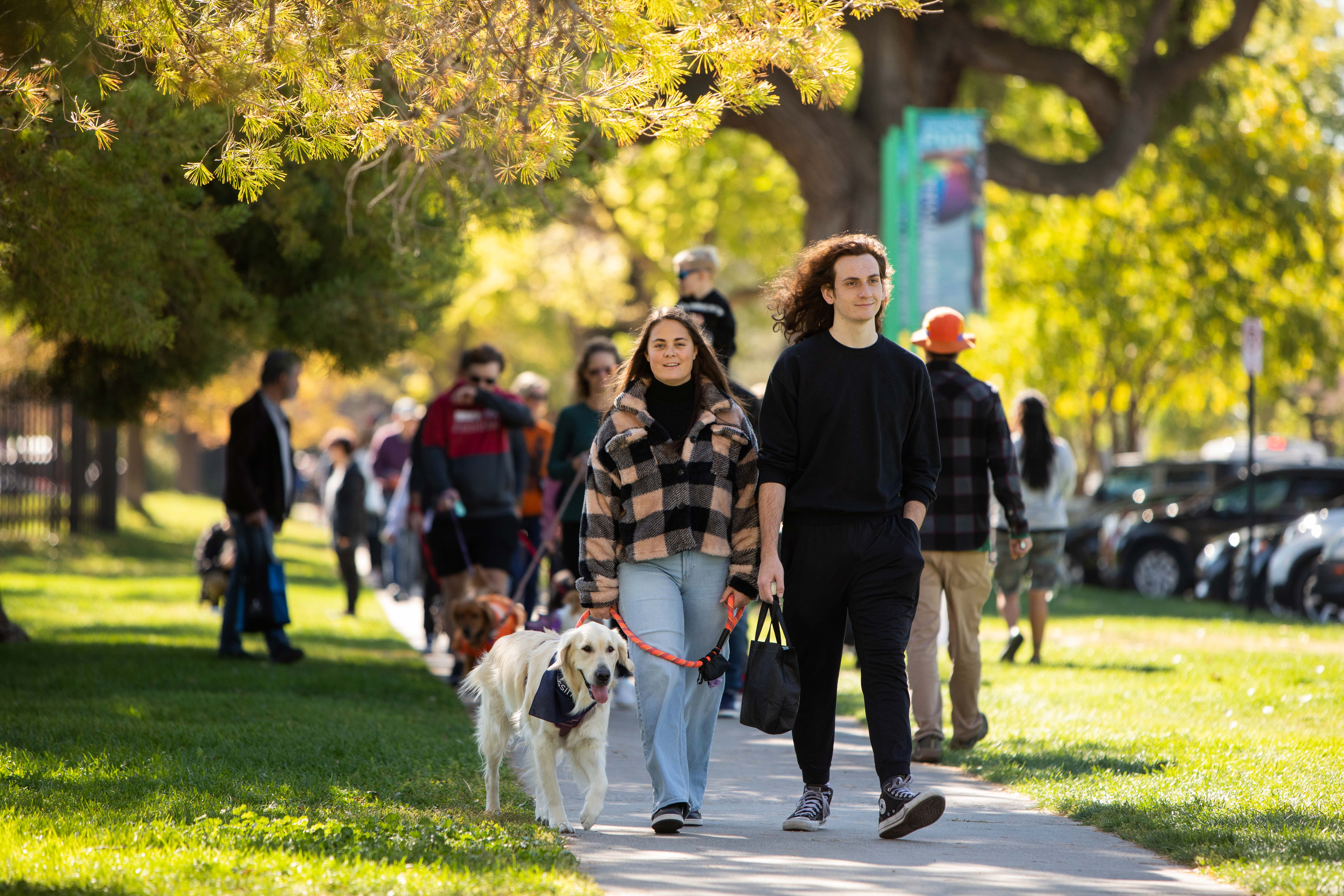 Sit, stay, strut Thousands raised to bring pets home Best Friends