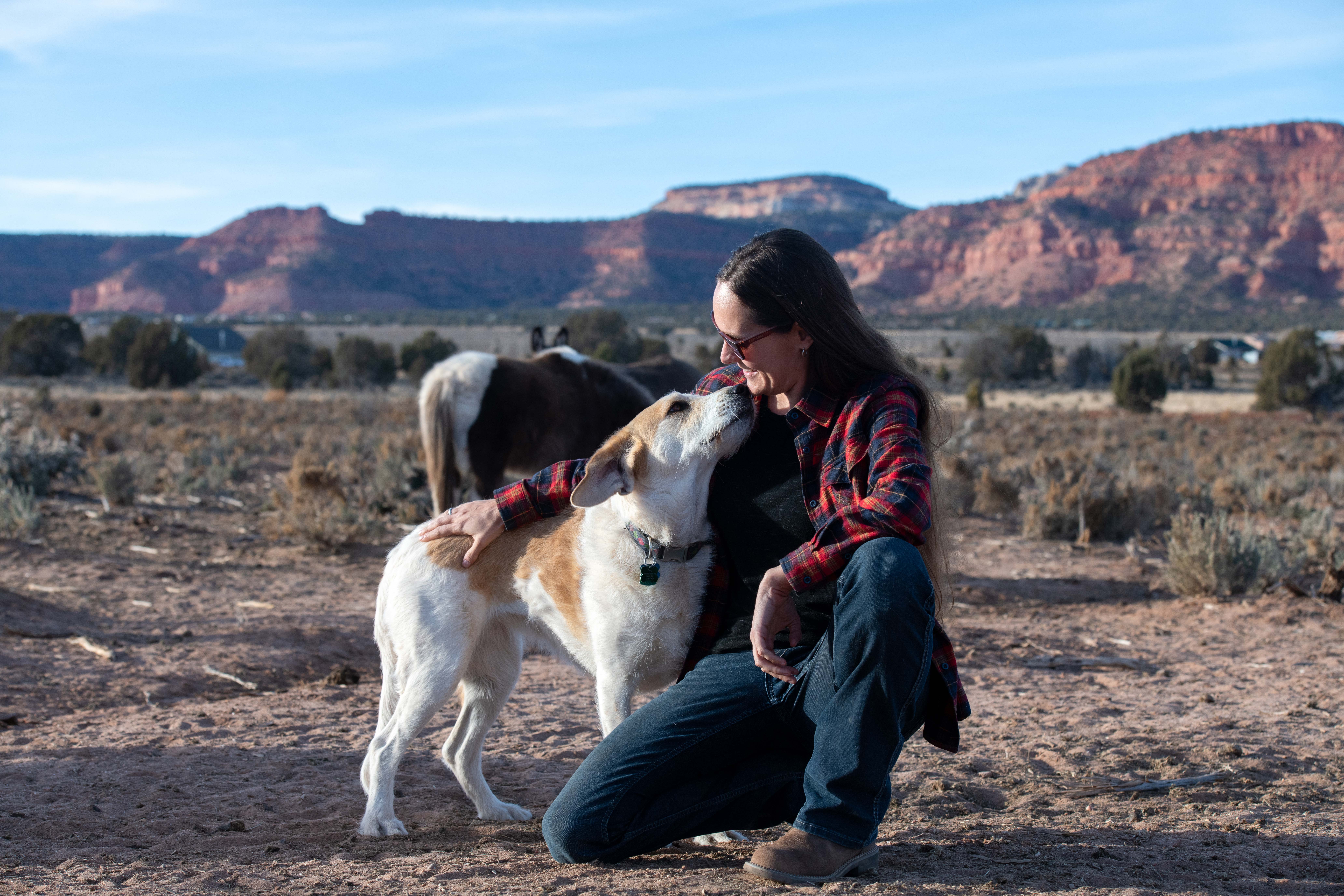 Photo inspiration: Can Dogs Have Pasture Grass Reference: 100 Grass Fed Beef Ethically Raised Meats