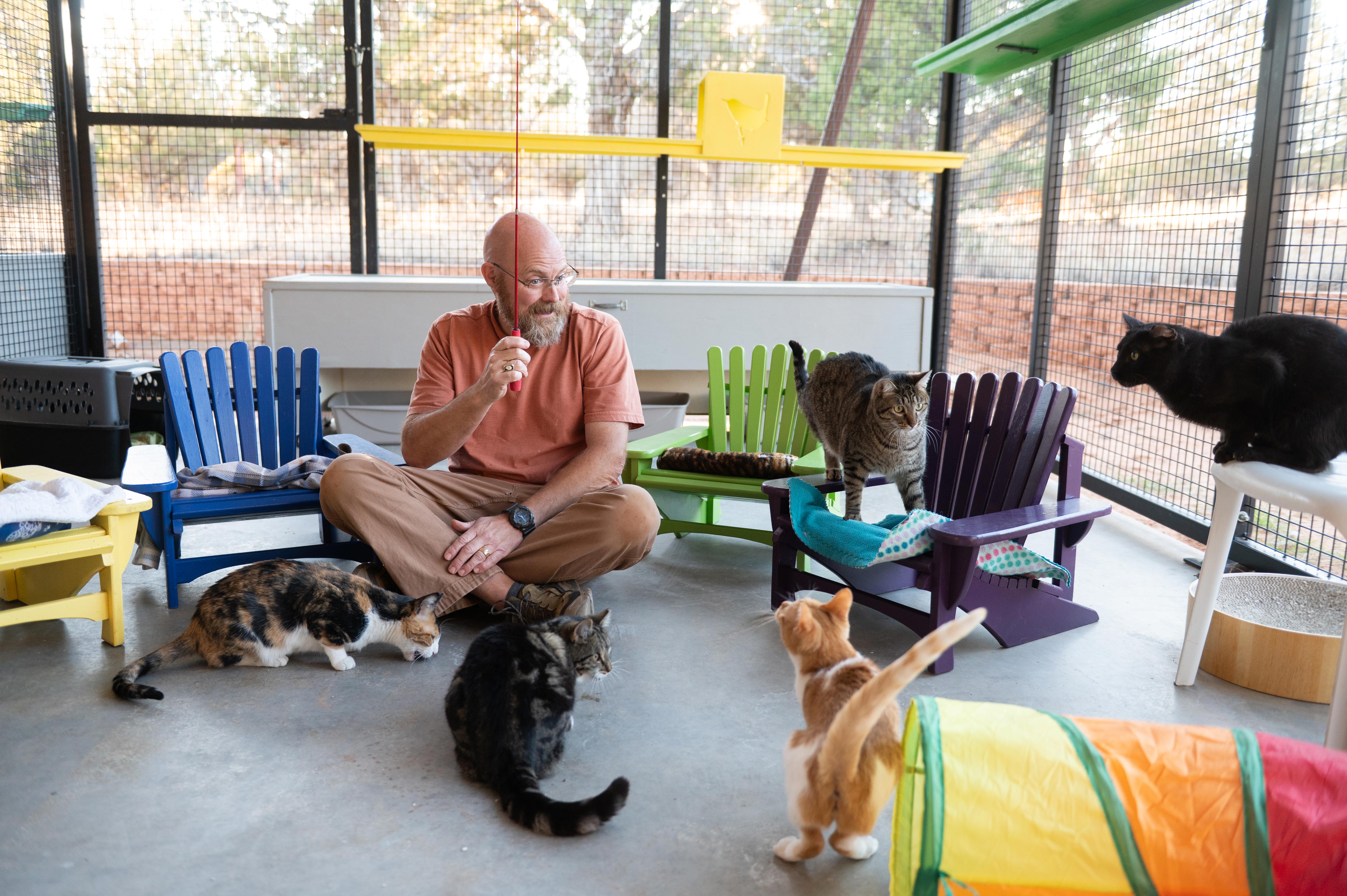 Tiny chairs, big comfort: Volunteer builds joy for cats | Best Friends ...