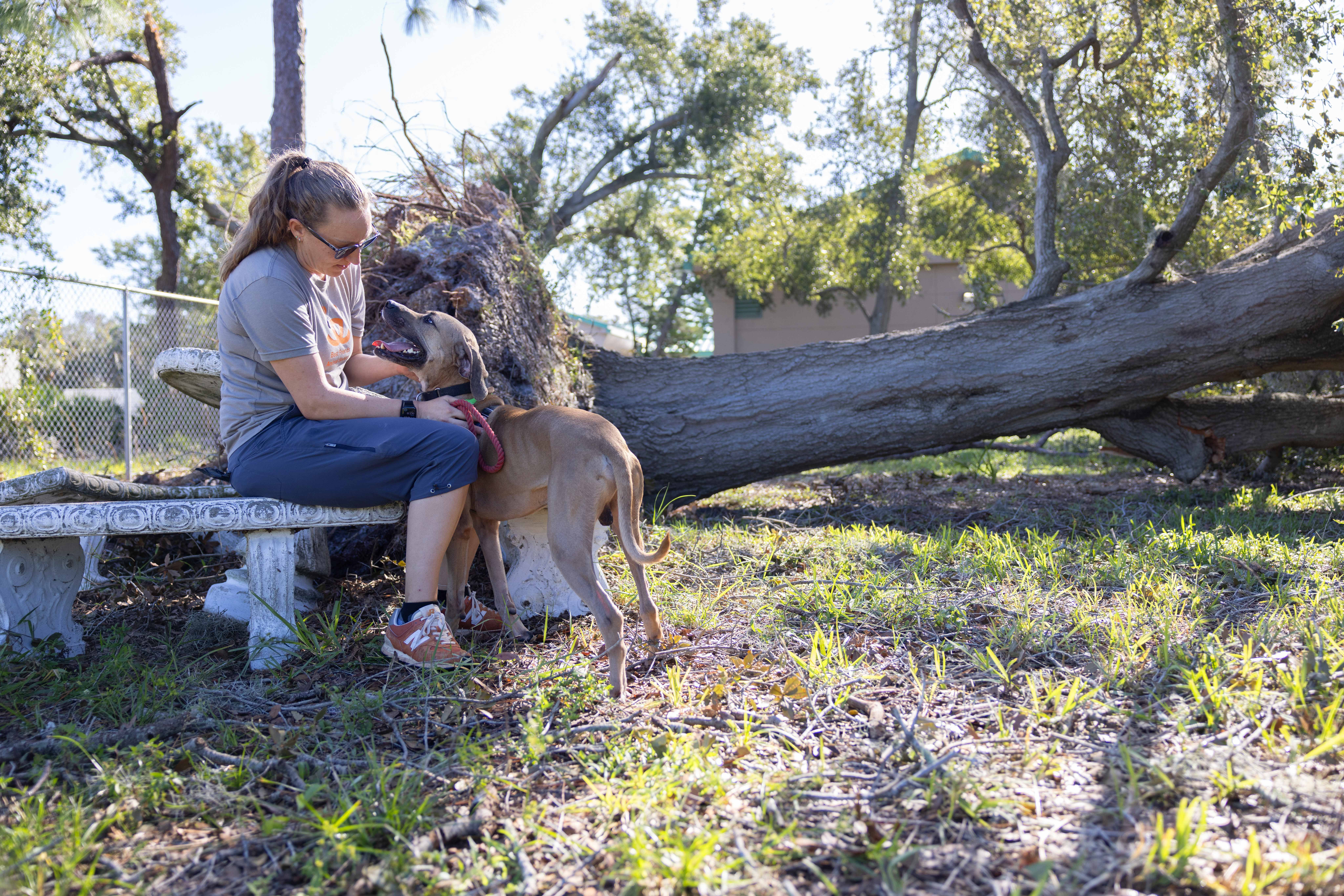 Best Friends' lifesaving work in the wake of Hurricanes Helene and