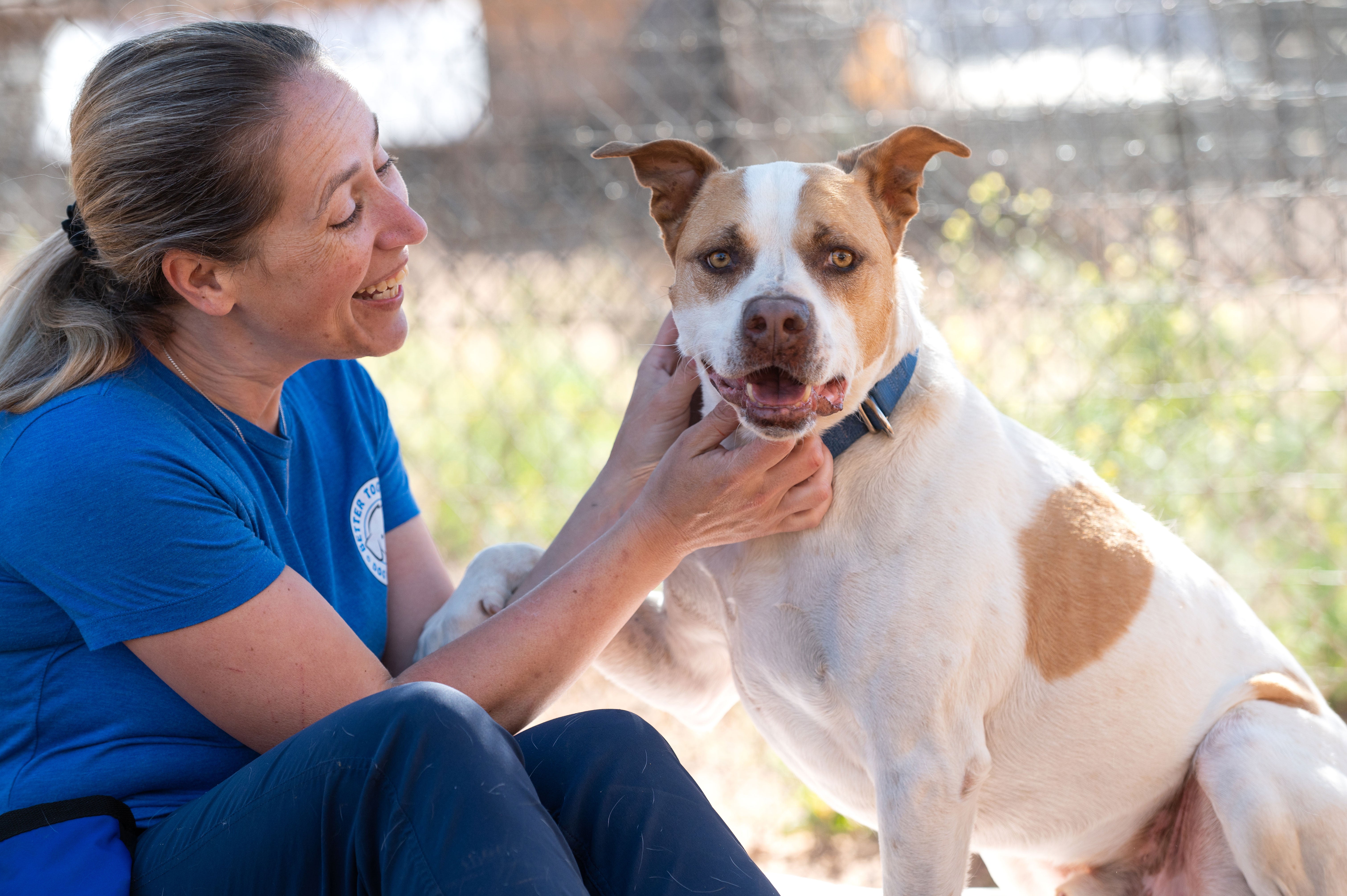 Best Friends-backed degree inspires, guides new animal rescue organization  | Best Friends Animal Society - Save Them All