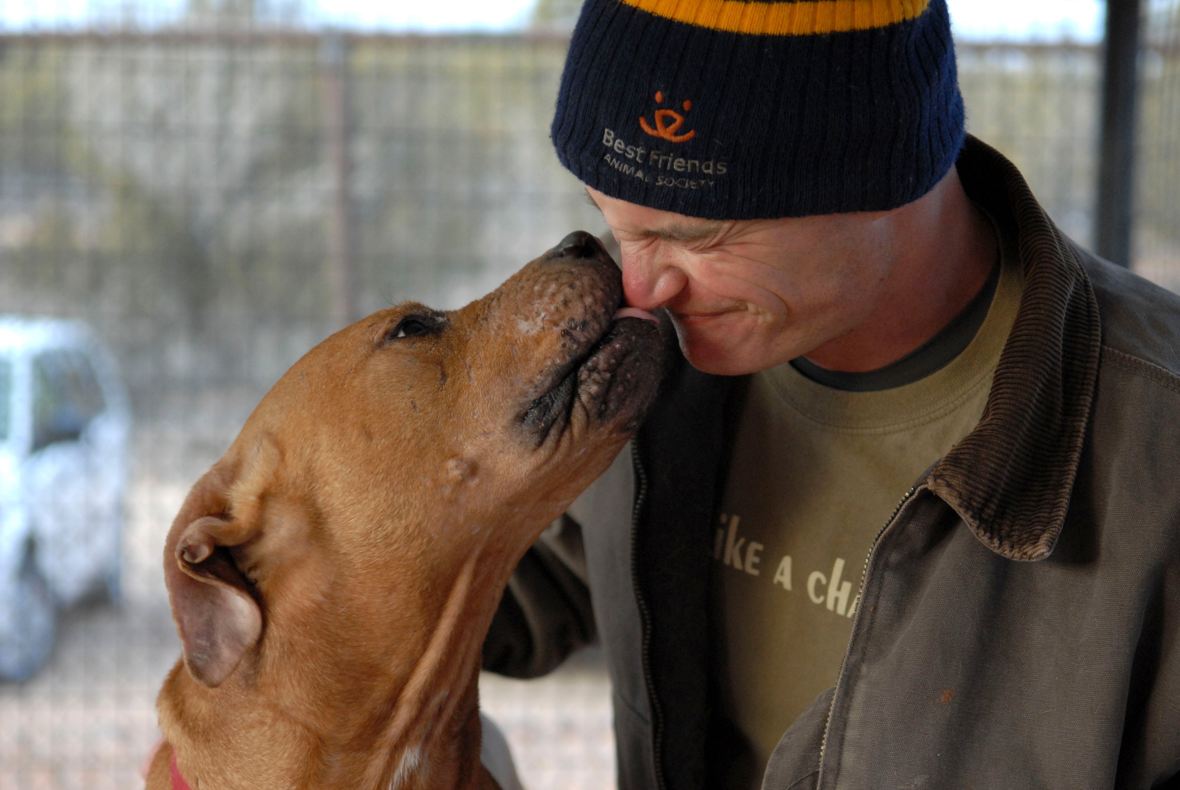 Former Vick dog Hector visits fellow abuse survivors - DogTime