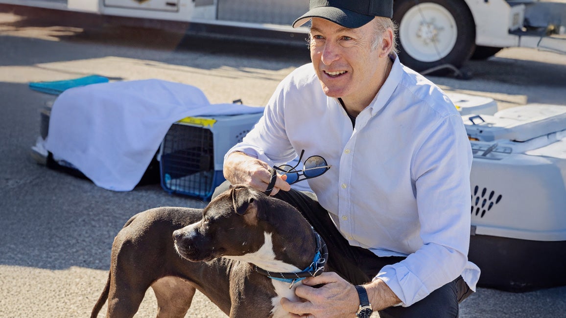 Celebrities support pets affected by L.A. wildfires | Best Friends ...