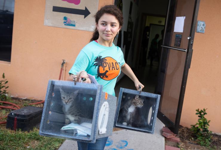 Volunteer carrying two cats in carriers