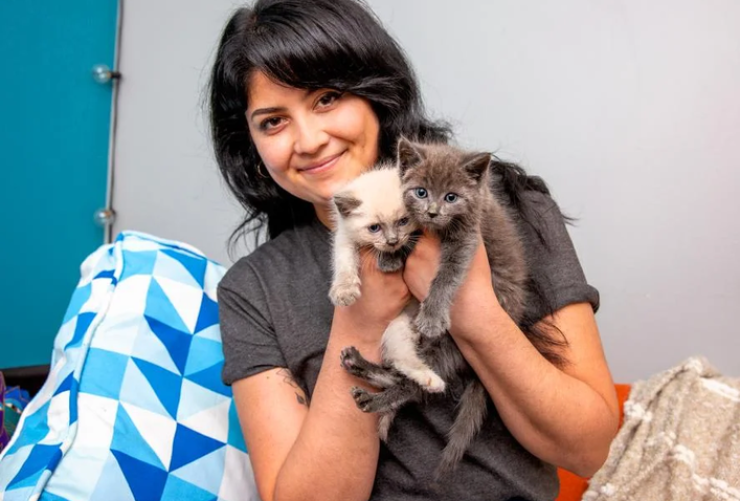 Kittens being held