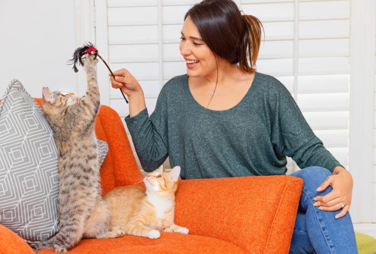 Smiling person playing with two kittens