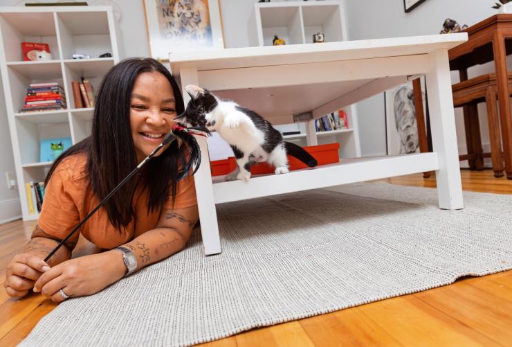 Person playing with a tiny kitten in a home
