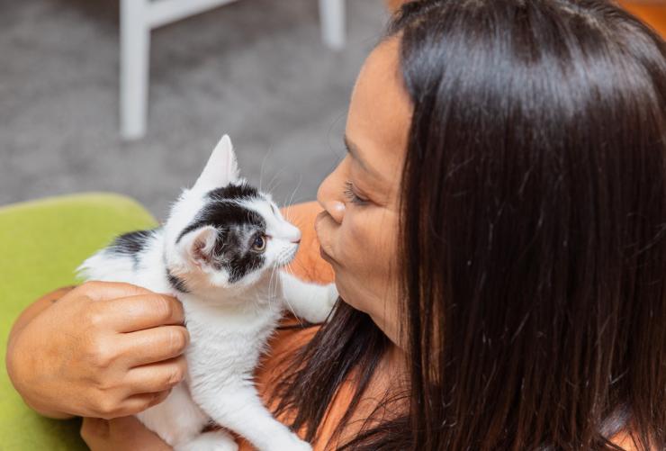 Person holding a tiny kitten in their arms