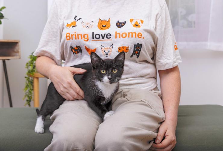 Person wearing a Bring Love Home T-shirt with a kitten in their lap
