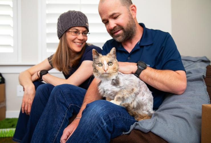 Two happy people sitting with a cat on a couch in a home