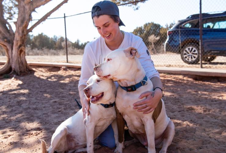 Person hugging two white pit bull type dogs in a fenced area