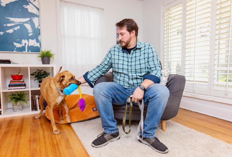 Person playing with a dog in a living room