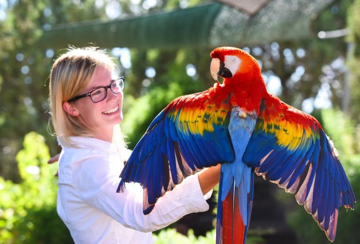 Smiling person with a parrot sitting on their hand