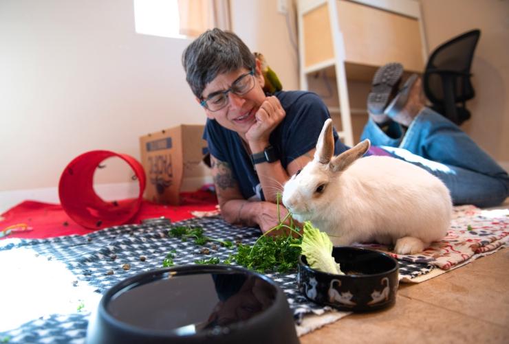 Person taking care of a bunny