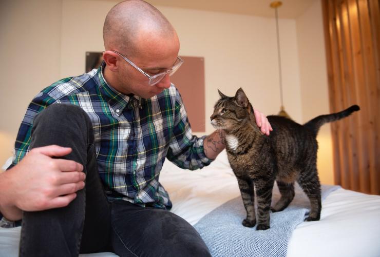 Person petting a cat on a bed