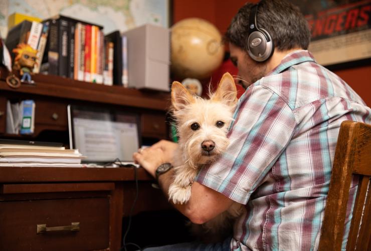 Person working at home at a desk while sitting with a dog
