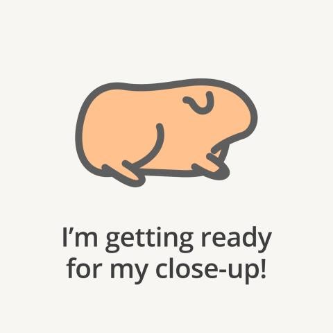 hamster cartoon