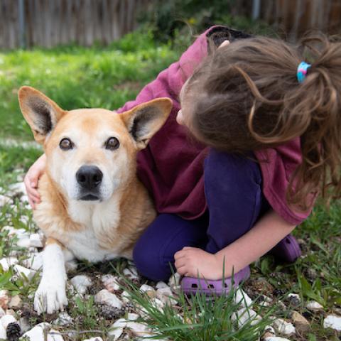 girl with dog in yard