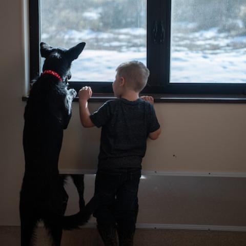 boy with dog looking out window