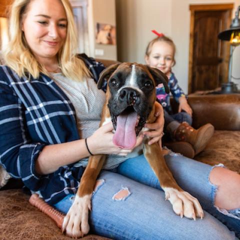 dog in home with family