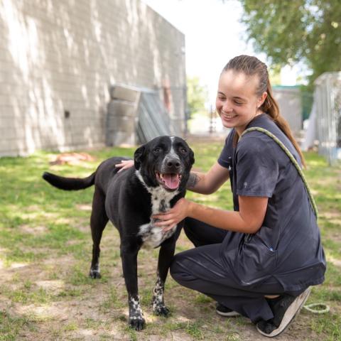 woman with dog outside in a play yard