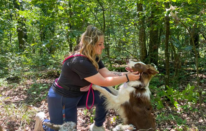 Dani working with another dog named Jillie