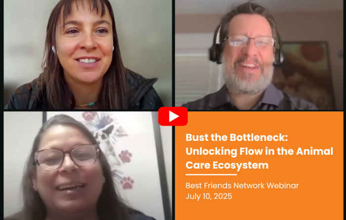 Screenshot of panelists from the Bust the Bottleneck: Unlocking Flow in the Animal Care Ecosystem webinar.