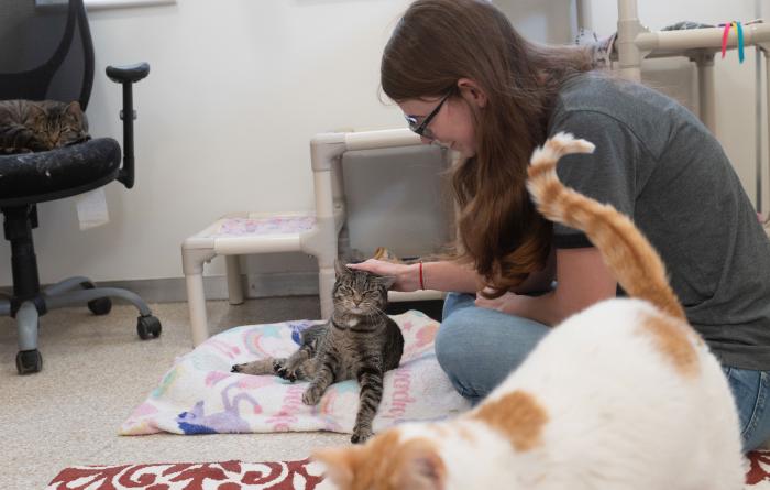Person sitting on the ground with Flora in her lap with another cat in the foreground