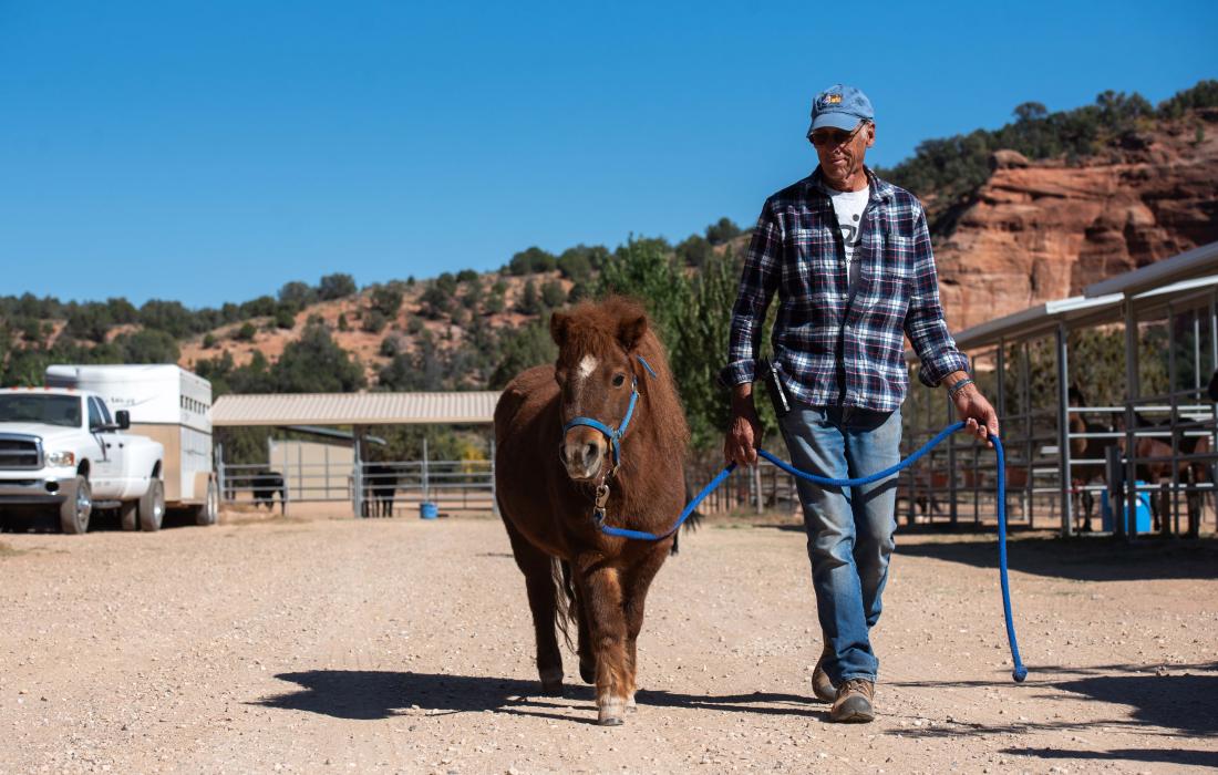Don waling with Jane, a miniature horse, on a lead