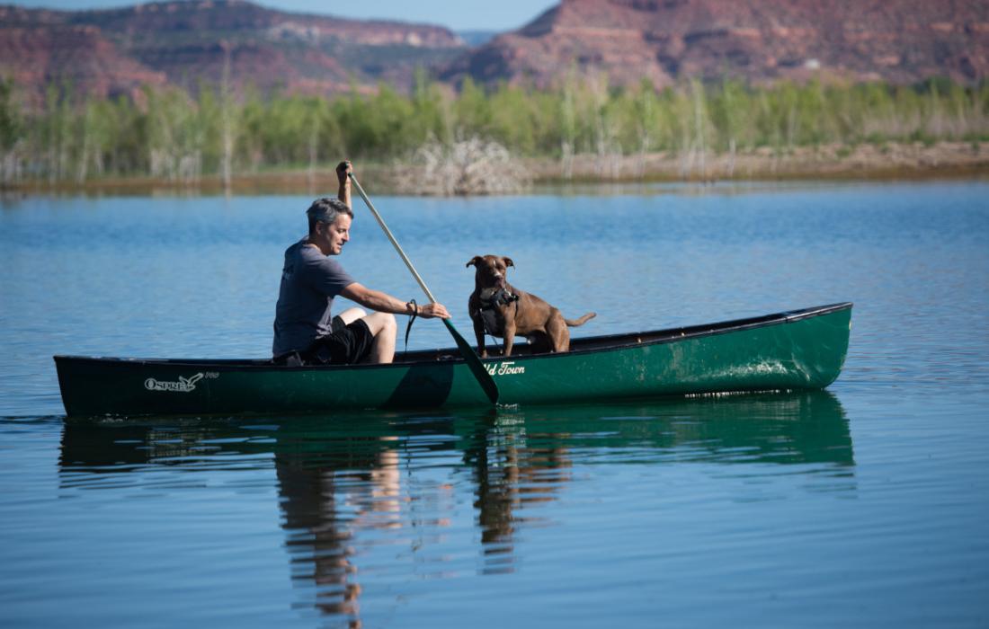 Dog in a canoe on a lake with a person paddling