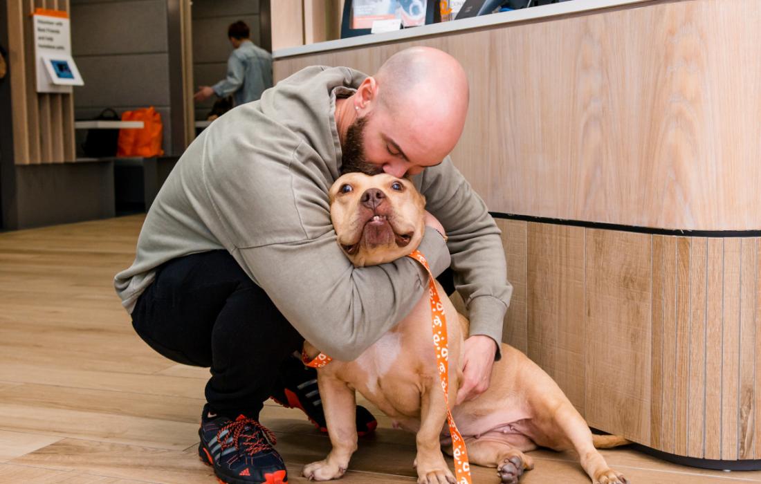 Person hugging and kissing a dog