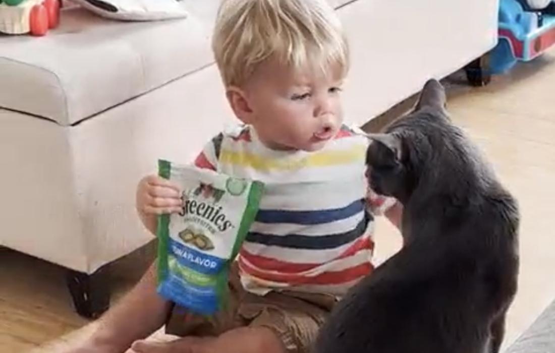 Ollie with a bag of cat Greenies beside Bruce the cat