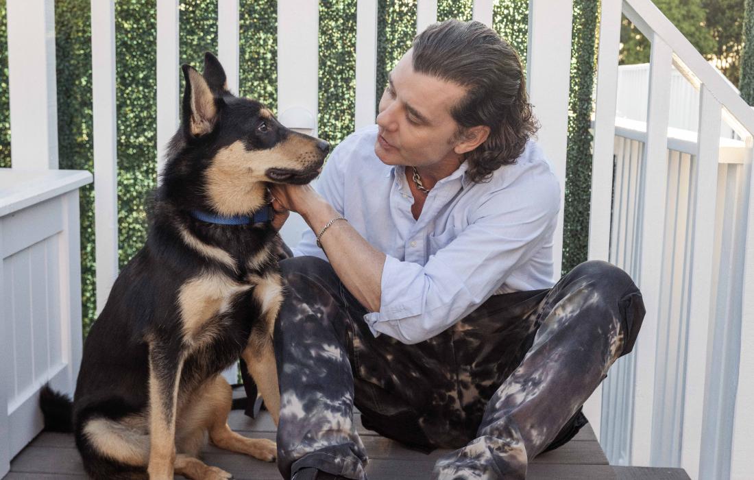 Gavin Rossdale petting a shepherd dog beside a white railing