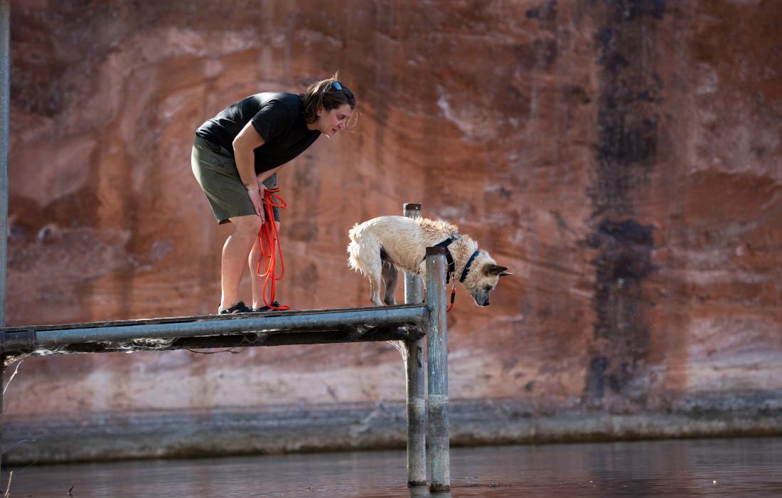 Raquel the dog on a deck looking down into water along with a person behind her