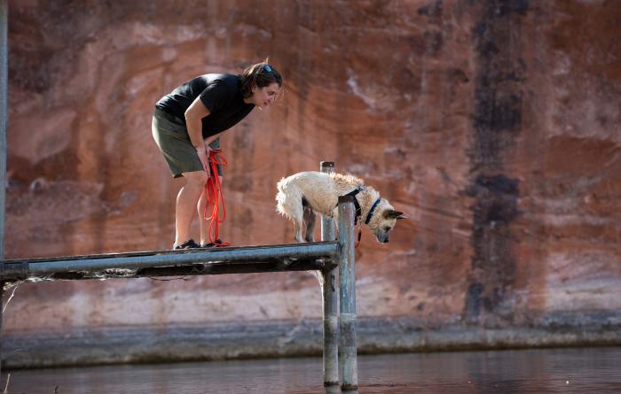 Raquel the dog on a deck looking down into water along with a person behind her